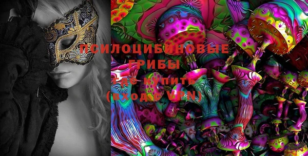 ECSTASY Алексеевка