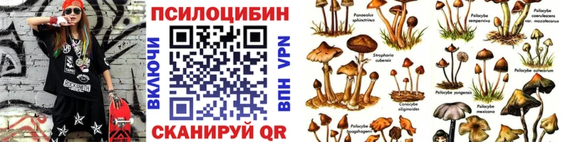 Псилоцибиновые грибы мухоморы  Аркадак 