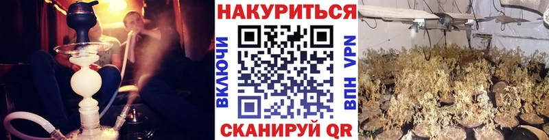 купить наркотики сайты  omg зеркало  Бошки марихуана марихуана  Аркадак 